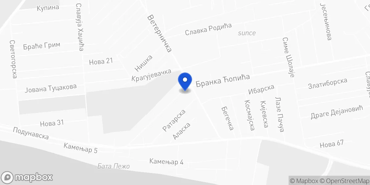 Mapa: Branka Ćopića 223