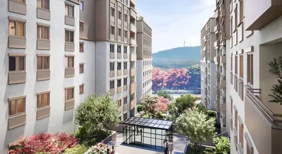 Novogradnja Silva Vidikovac, Beograd