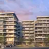 Novogradnja Divana, Beograd